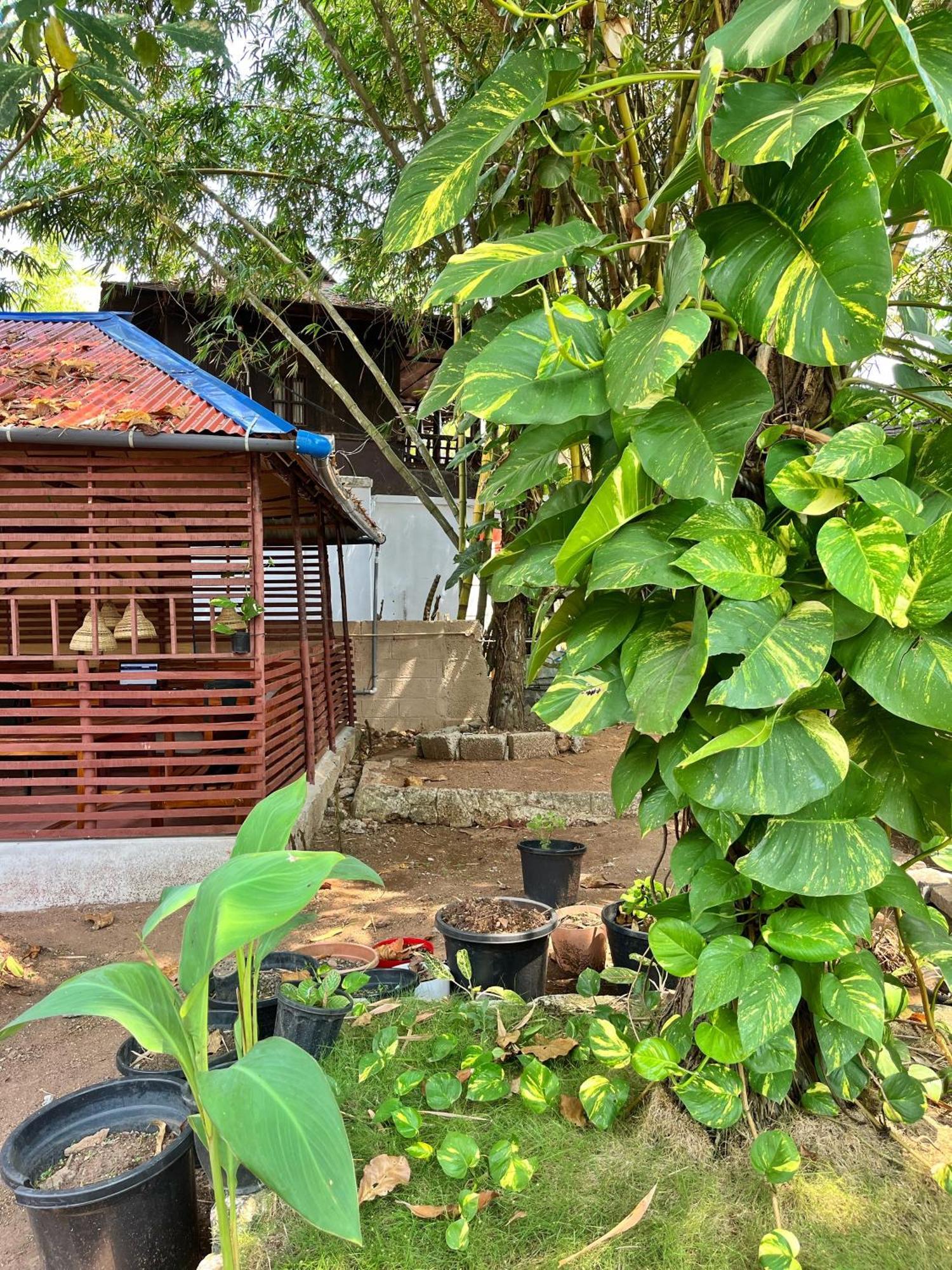 Bava Beach Resort & Retreat Center ורקלה מראה חיצוני תמונה
